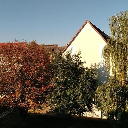 Ferienwohnung Maeurer Leipziger Neuseenland Groitzsch المظهر الخارجي الصورة