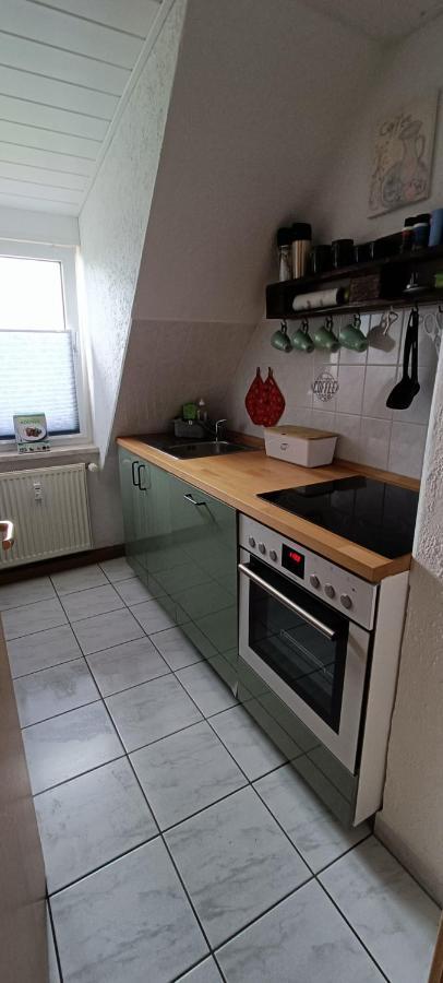 Ferienwohnung Maeurer Leipziger Neuseenland Groitzsch المظهر الخارجي الصورة