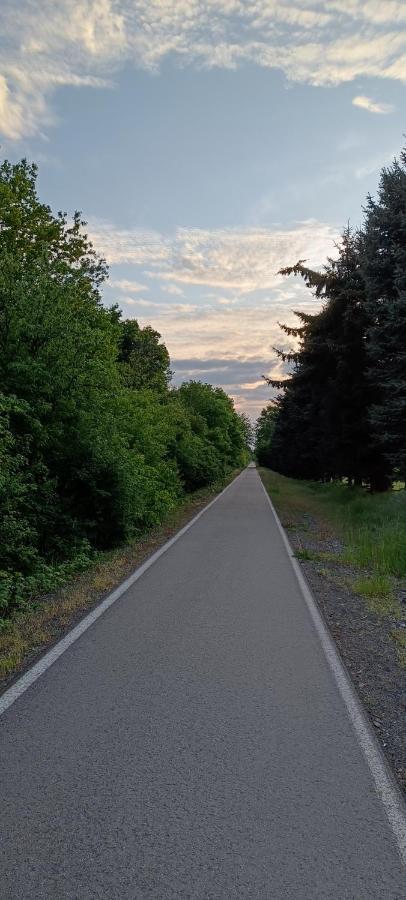 Ferienwohnung Maeurer Leipziger Neuseenland Groitzsch المظهر الخارجي الصورة